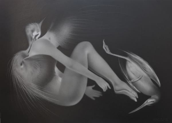 Paul Martinson Force of Wind, 2014 pencil on paper 73.0 x 100.0 cm