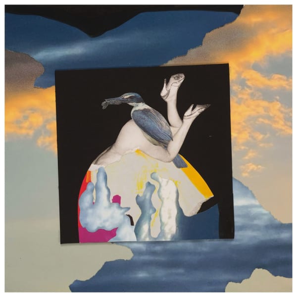 Teresa Hr Lane Kotare, 2021 photography & mixed media collage 25.0 x 25.0 cm