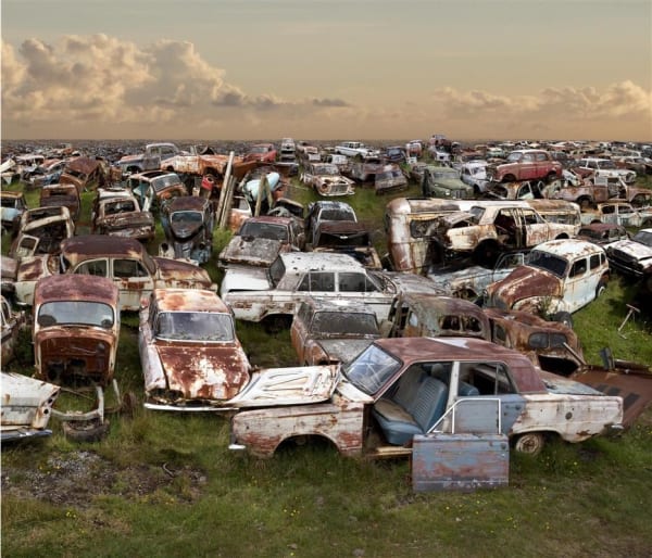 Pj Paterson Proverbs 6:8, 2014 digital collage photograph, edition of 5 43.0 x 48.0 cm