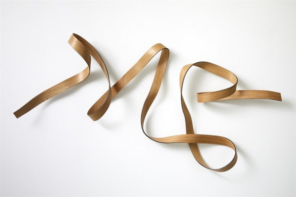 Ray Haydon Convolution IX, 2019 carbon fibre, timber veneer 820 x 2040 x 230 mm