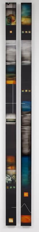 Tracey Walker 20Degrees SW, 2011 Mixed media on aluminium 200.0 x 30.0 cm