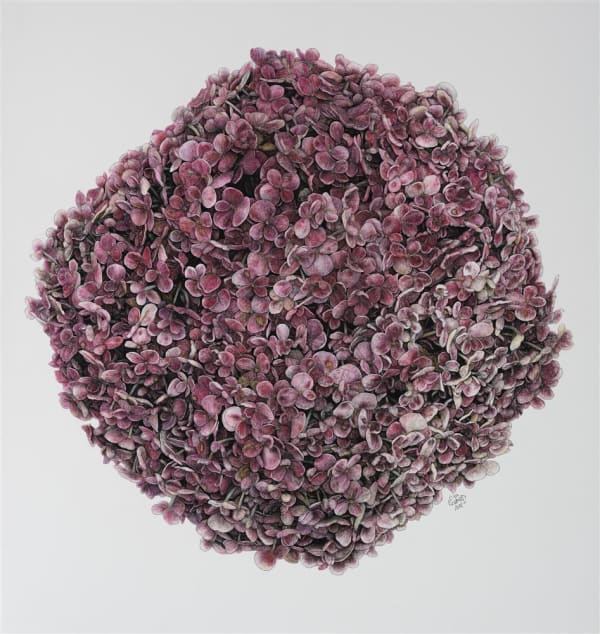 Liam Gerrard Arawa Ave, Devonport, 2022 charcoal and pastel on paper 1100 x 1045 mm