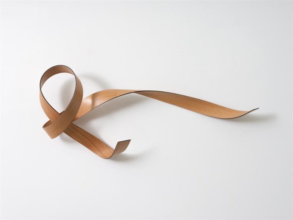 Ray Haydon Fluid IX, 2020 carbon fibre, oak veneer 530 x 1000 x 170 mm