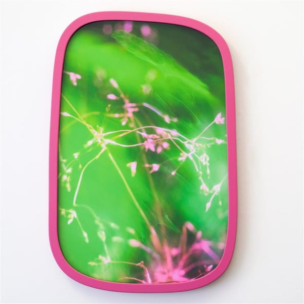 Petra Scheuber Dreamland N°8: Wonderland, 2021 Archival Pigment Ink Print on Hahnemühle German Etching, Organically-shaped frame fuchsia AR70 Glass 55.0 x 38.0 cm