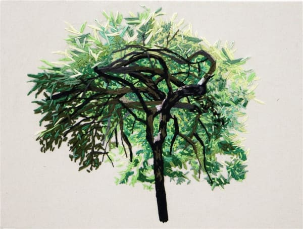 Molly Timmins, Hazel's Maple Tree at Eden Garden, 2019
