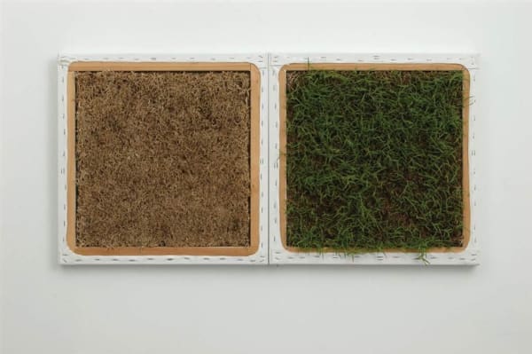 Gill Gatfield, Lawn (Greener on the Other Side), 2007