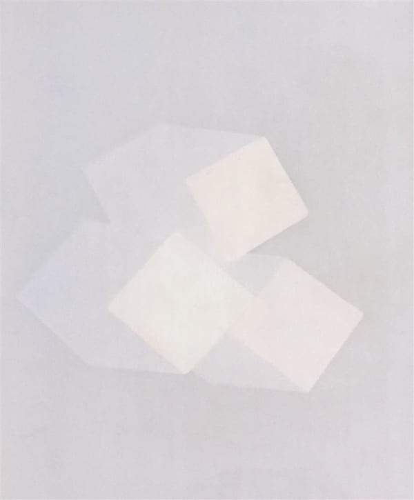 Poppy Lekner Basal Geometries, from Horizon Series, 2017 lumen print on silver gelatin 26.0 x 21.0 cm