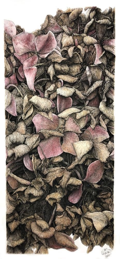 Liam Gerrard Mt. Eden, Auckland, 2020 charcoal and pan pastel on paper 710 x 320 mm
