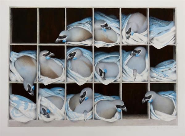 Paul Martinson Gene Pool, 2016 watercolour and gouache on paper 48.0 x 68.0 cm