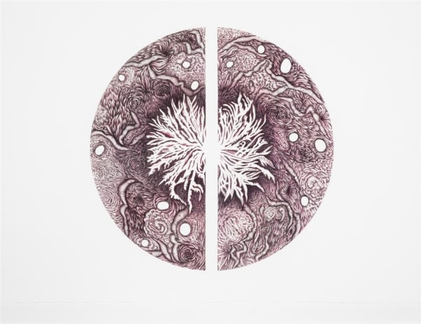 Lea-Anne Sheather Examining the Ambivalence, 2015 Mixed media on paper 105.5 x 76.0 cm