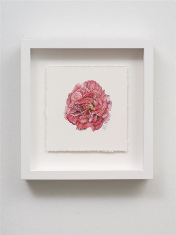 Liam Gerrard Haggerston III, 2023 charcoal and pastel on paper 300 x 280 mm