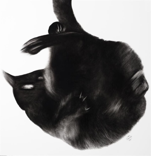 Liam Gerrard Leroy Tumbling, 2016 charcoal on paper 100.0 x 100.0 cm