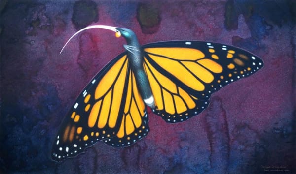 Paul Martinson Flight of the Huia, 2014 watercolour and watercolour pencil on paper 42.0 x 70.5 cm