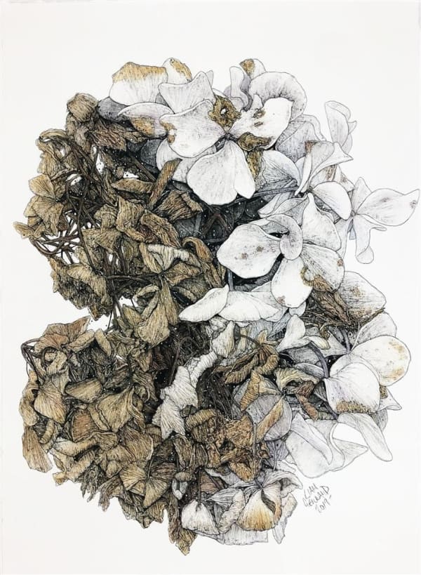 Liam Gerrard Karl, 2019 charcoal and pan pastel on paper 46.0 x 62.5 cm