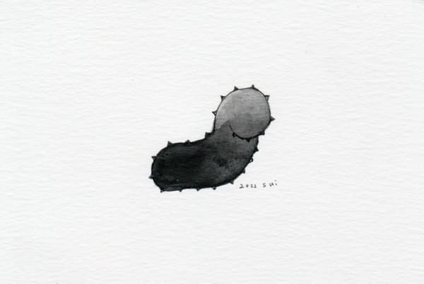 Sui Park (Korea/US), Drawing 10, 2022