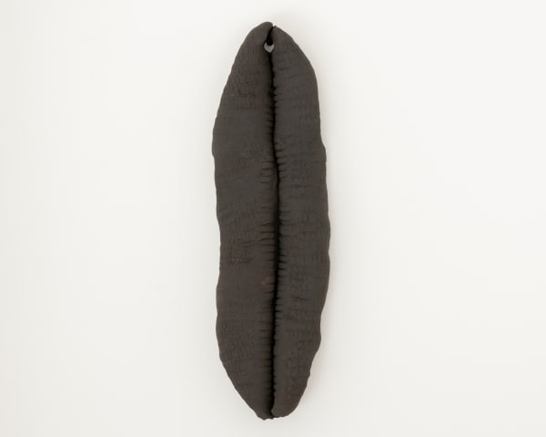 Lucia Pizzani, Semilla Jojoto-Tabachin, 2022