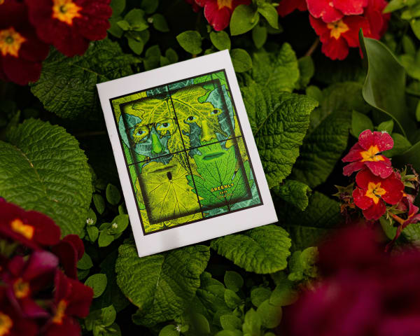 Gilbert & George, Gilbert & George say Spread your Seed, 2022