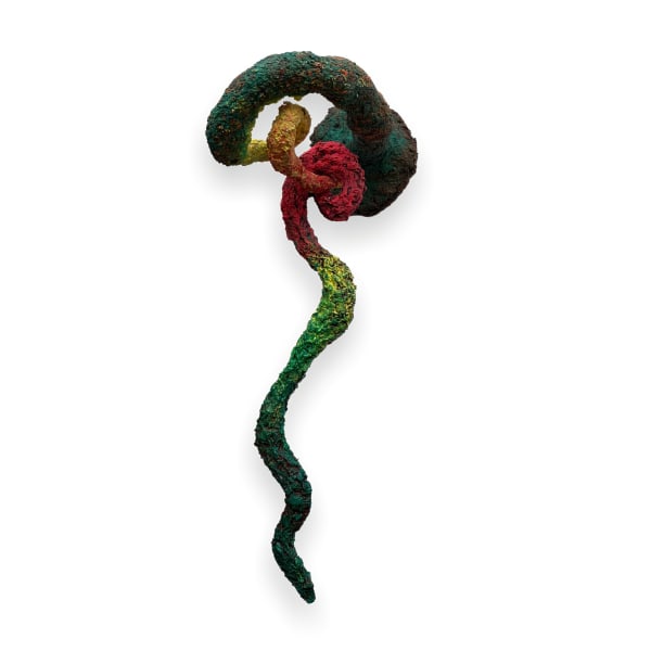 Shima Faridani, Entangled, 2023