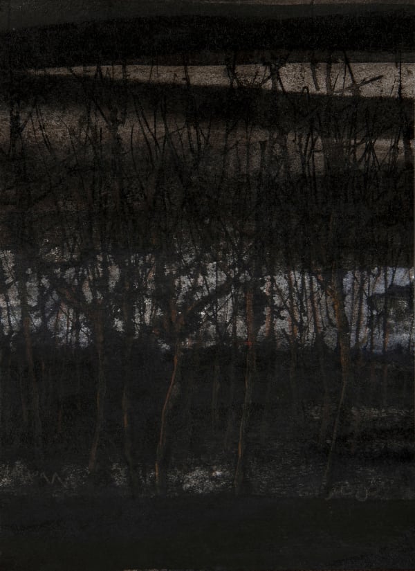 Abbas Nasle Shamloo, Beyond Alienation 12, 2019