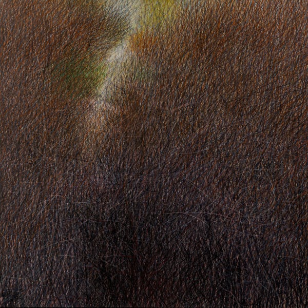 Seyed Taher Mousavi, Nature 9, 2023