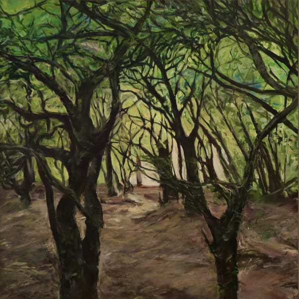 Maedeh Rezapour, Light Passage, 2024