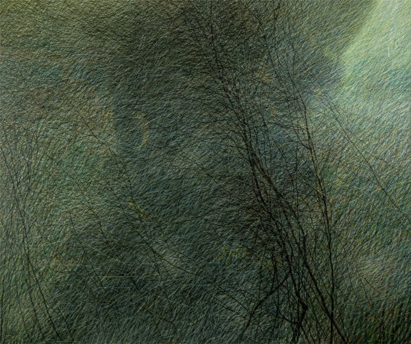 Seyed Taher Mousavi, Nature 4, 2023