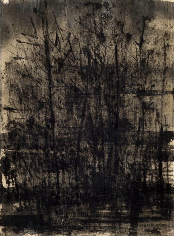 Abbas Nasle Shamloo, The Land of No Sun 5, 2020