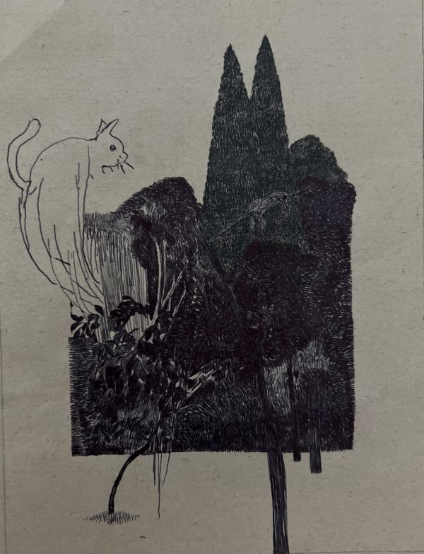 Arezoo Shiravani, Untitled, 2023