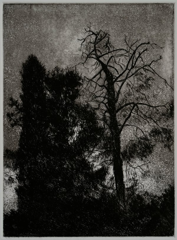 Samaneh Samimi, Untitled 4, 2021