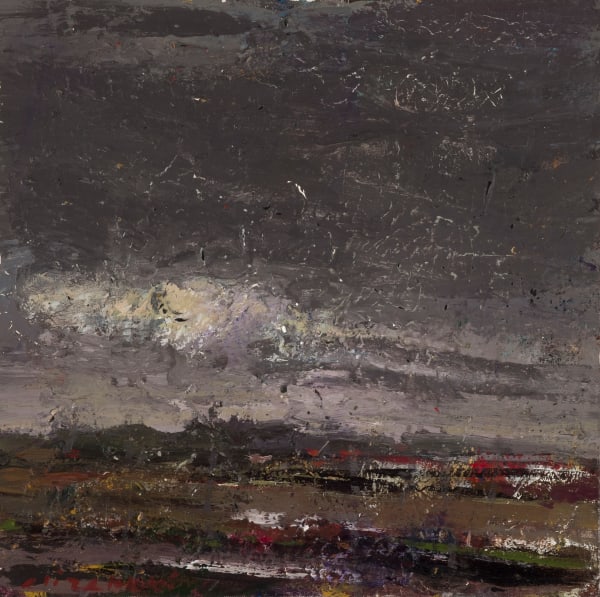 Ali Zakeri, Childhood Prairies 54, 2017