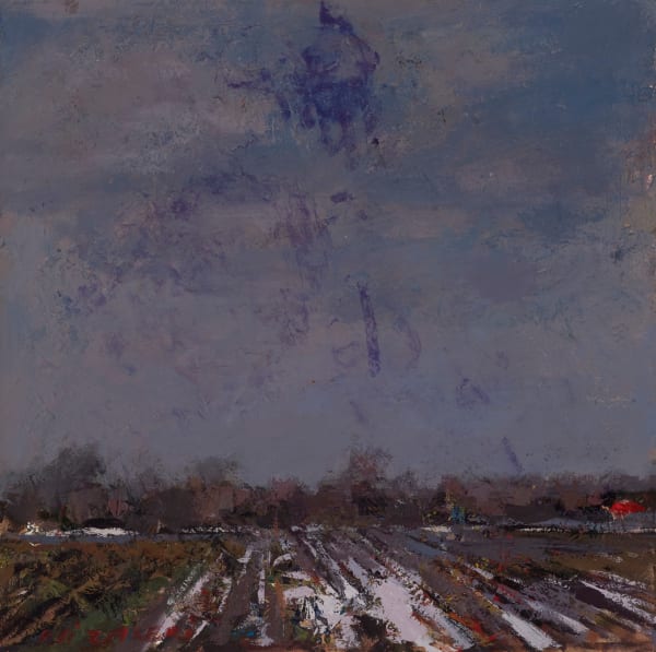 Ali Zakeri, Childhood Prairies 38, 2017