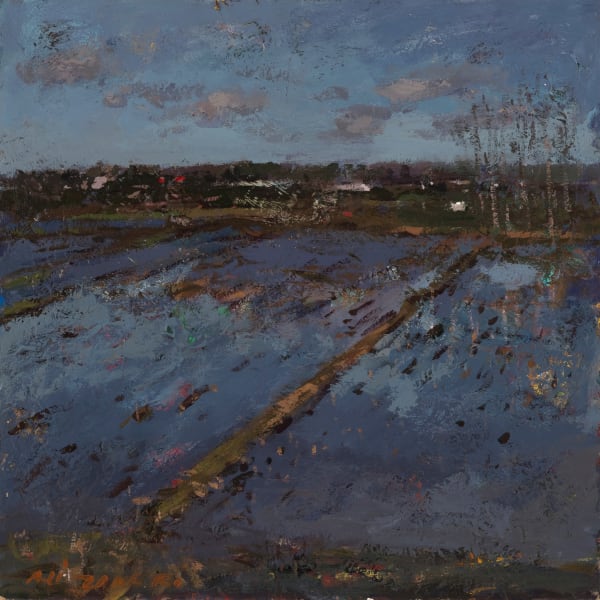 Ali Zakeri, Childhood Prairies 34, 2017