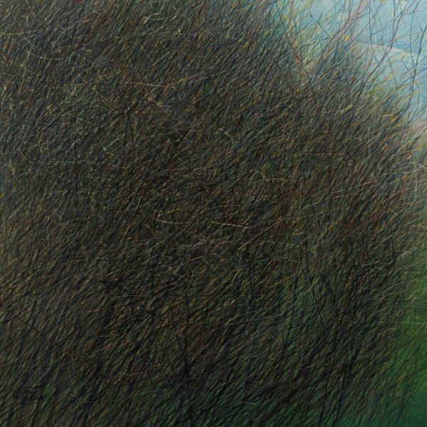 Seyed Taher Mousavi, Nature 10, 2023