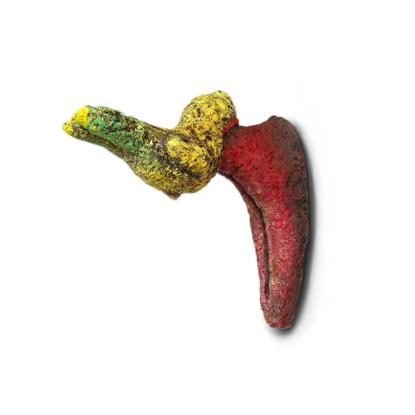 Shima Faridani, Ignorant, 2023