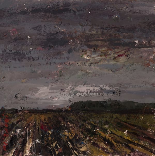 Ali Zakeri, Childhood Prairies 60, 2016