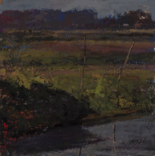 Ali Zakeri, Childhood Prairies 56, 2016