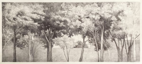 Farnaz Liravi, Spring's Wind, 2022