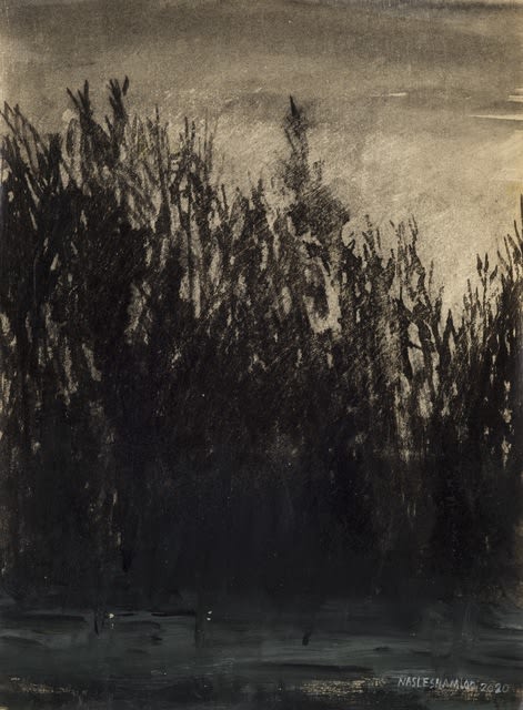 Abbas Nasle Shamloo, The Land of No Sun 11, 2020