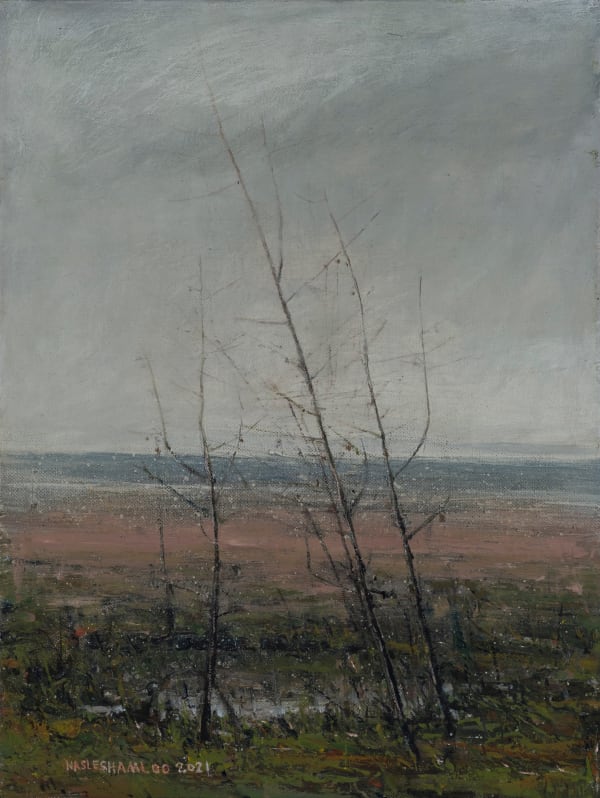 Abbas Nasle Shamloo, Grabbling 5, 2021