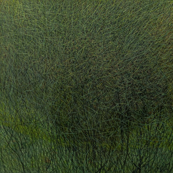 Seyed Taher Mousavi, Nature 12, 2023