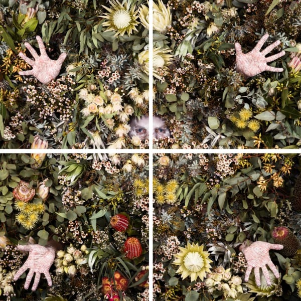Christian Thompson AO, Subconscious Whispers, 2018