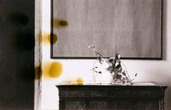 Kiron Robinson, Mary, Mary #45, 2025