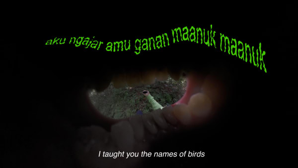 Tiyan Baker, mouthbreather, 2024