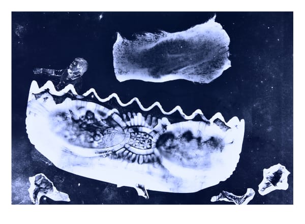 Lani Seligman, Etch a Sketch (Wishful), 2021