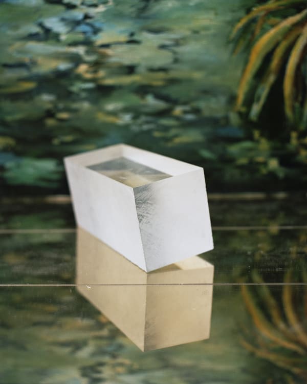 Ali McCann, Narcissus, 2020