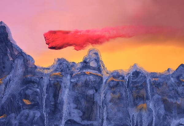 Lani Seligman, Fire Flights #2, 2021