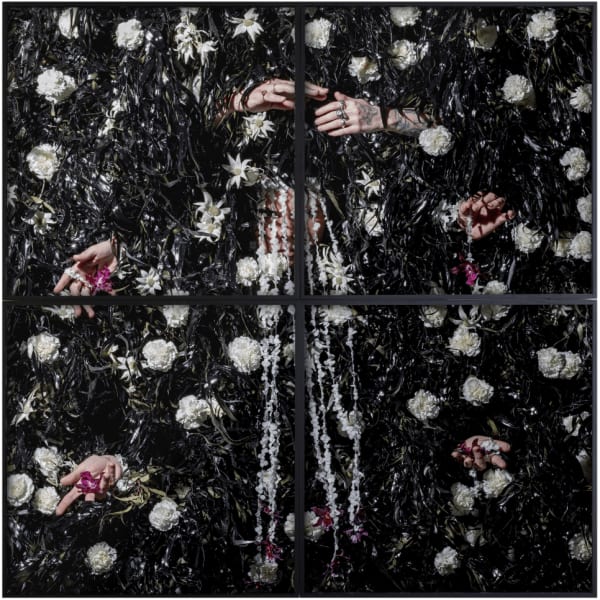 Christian Thompson AO, Limerence (Flower Wall), 2023
