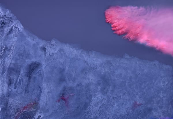 Lani Seligman, Fire Flights #3, 2021