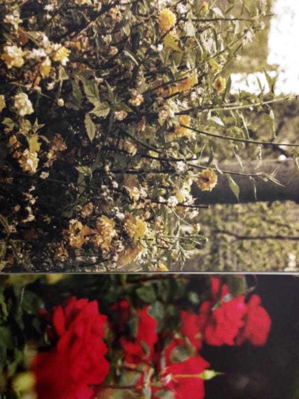 Kiron Robinson, Untitled #38, 2015