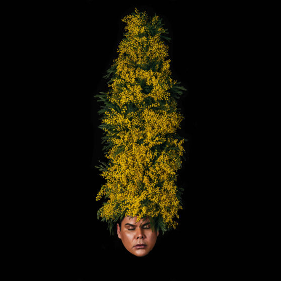 Christian Thompson AO, Premonitions, 2019
